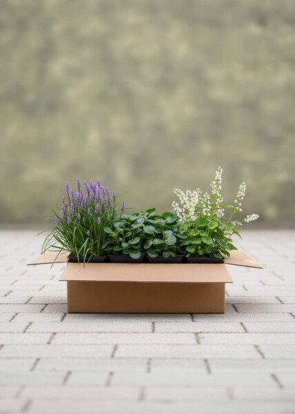 EasyGreen Mix færdigbed