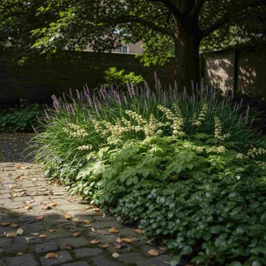 EasyGreen Mix færdigbed