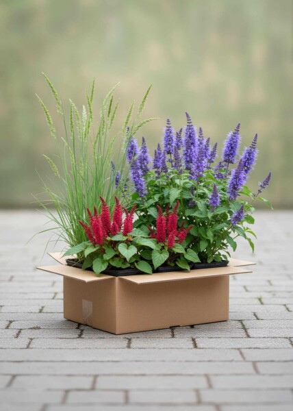 Sommerpragt Mix færdigbed