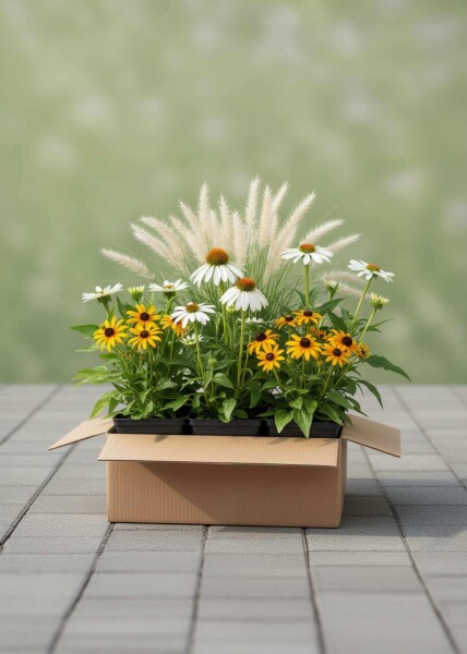 Efterårsglød Mix færdigbed