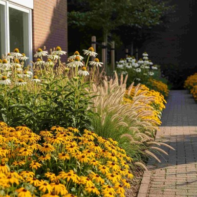 Efterårsglød Mix færdigbed