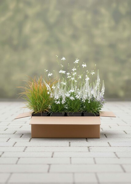 Sommerbris Mix færdigbed