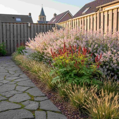 Sommerkontrast Mix færdigbed