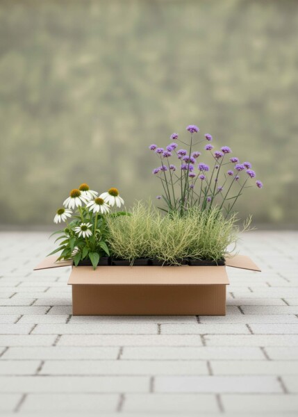 Solrig Elegance Mix færdigbed