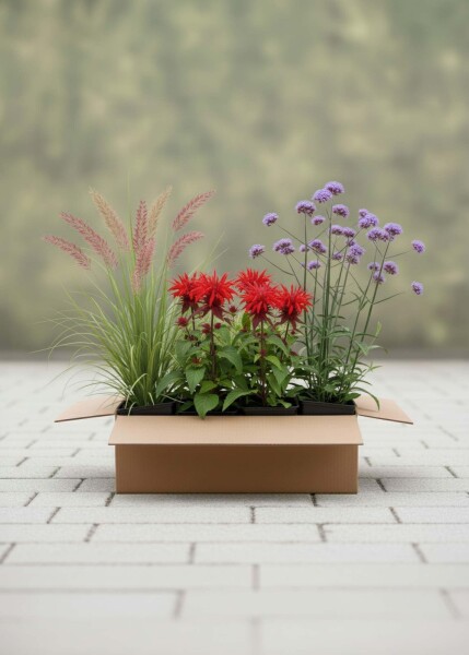 Solnedgang Mix færdigbed