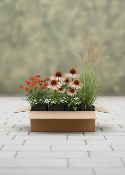 Sensommernsglød Mix færdigbed