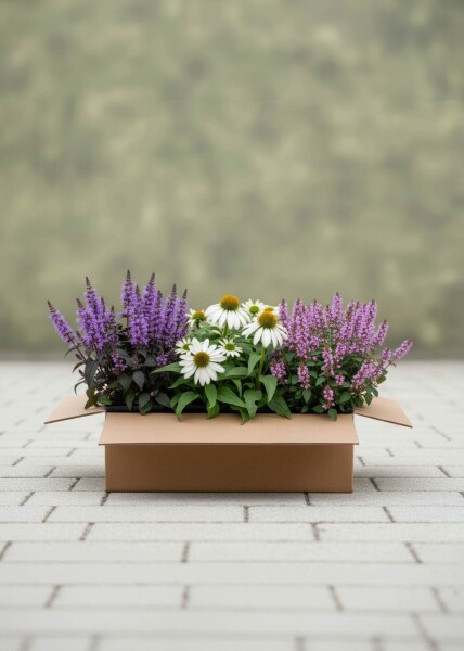 Sommerbalance Mix færdigbed