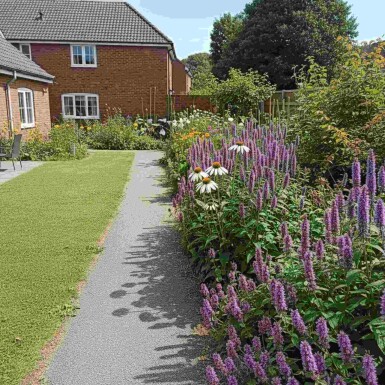 Sommerbalance Mix færdigbed