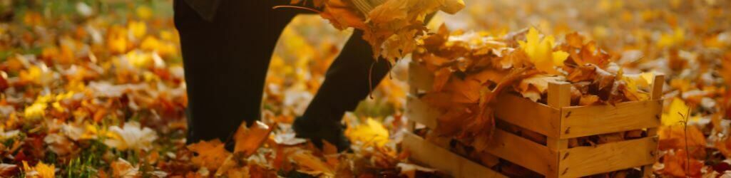 Sådan bruger du efterårsblade klogt som naturlig beskyttelse til din have image