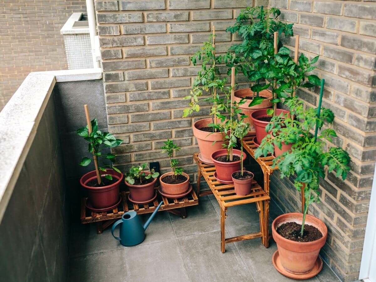 Sådan beskytter du dine haveplanter mod frost uden plastik eller fleece image