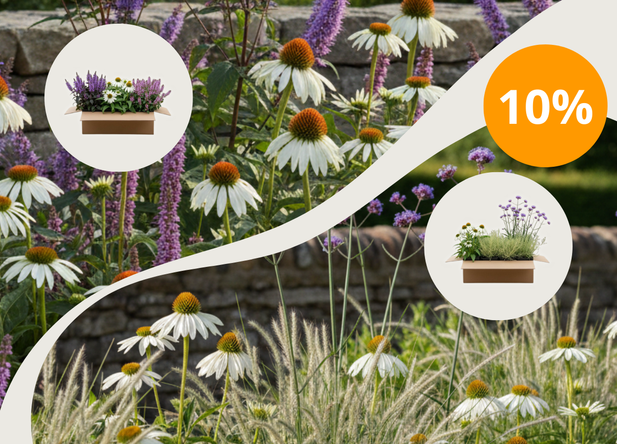 10 % rabat på alle færdigbed med koden: FÆRDIGBED10