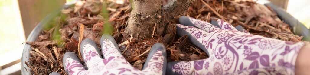 Sådan beskytter du dine haveplanter mod frost uden plastik eller fleece image