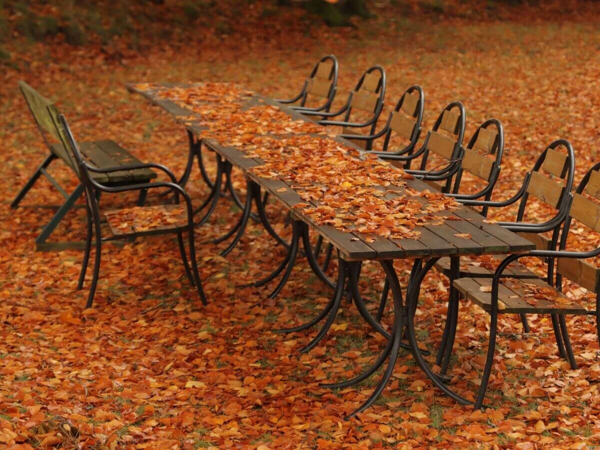 Sådan bruger du efterårsblade klogt som naturlig beskyttelse til din have image