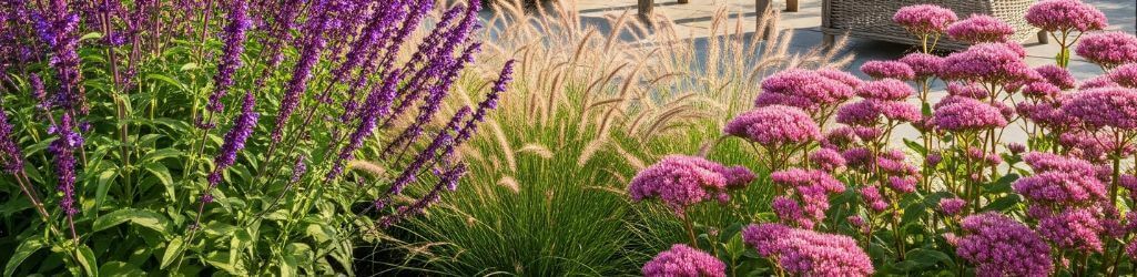 Top 7 varmeresistente planter til en solrig have image