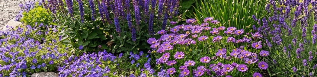 Top 5 lilla stauder image