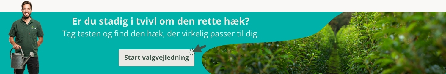 Valgvejledning