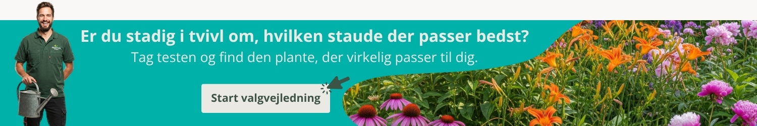 Start Produktvælger