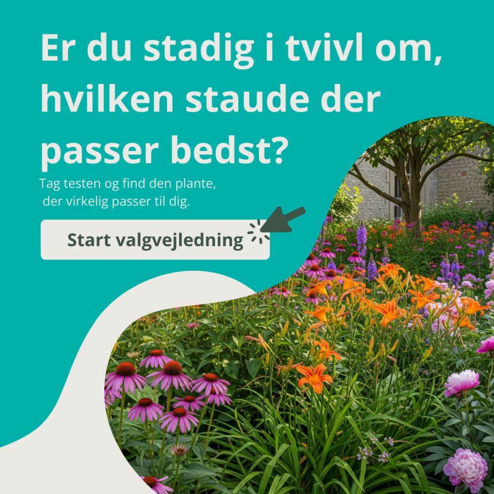 Start Produktvælger