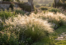 Ponytails