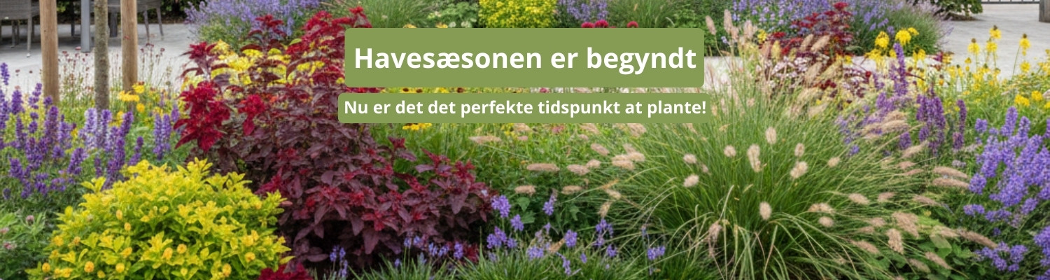 Start Tuinseizoen Banner