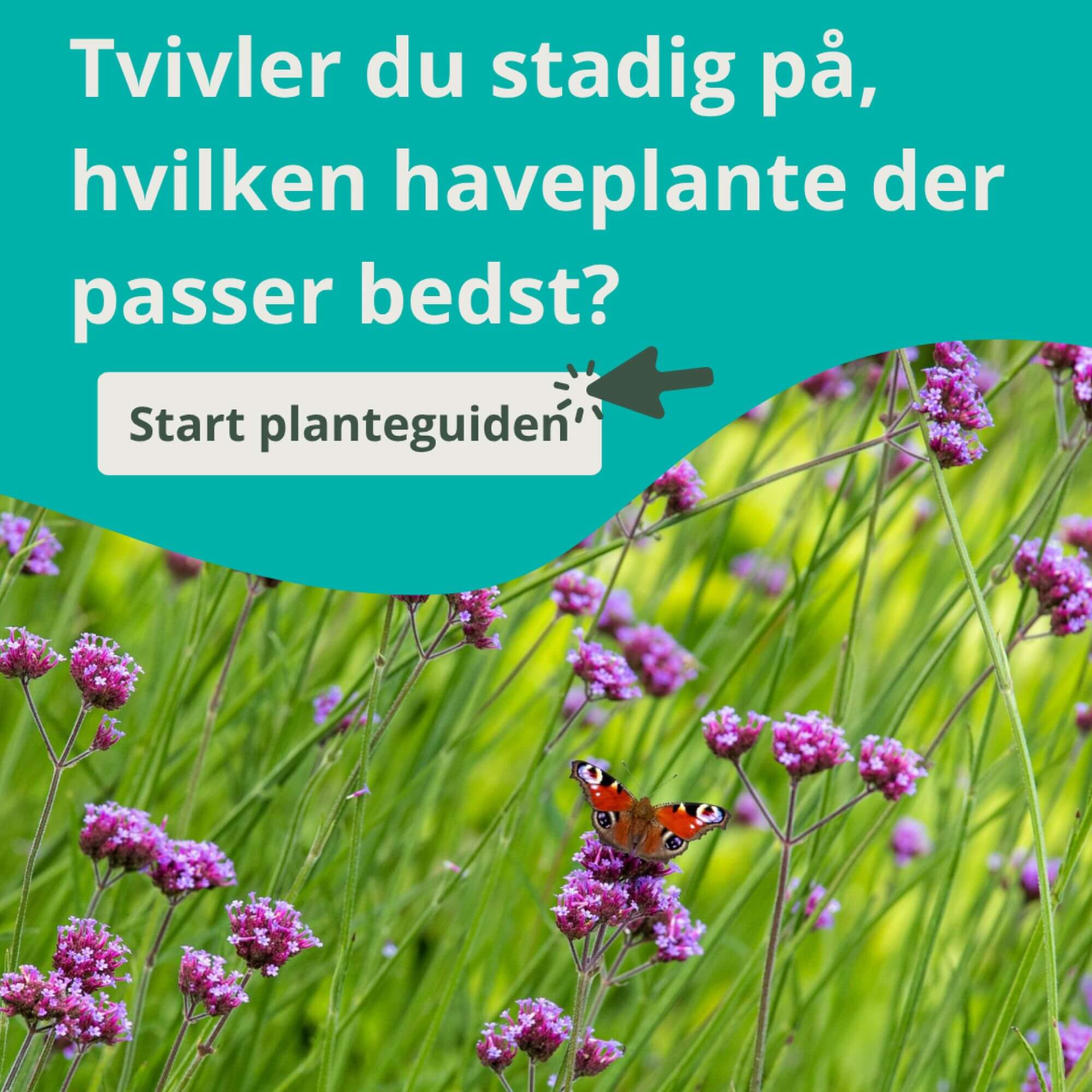 Keuzehulp