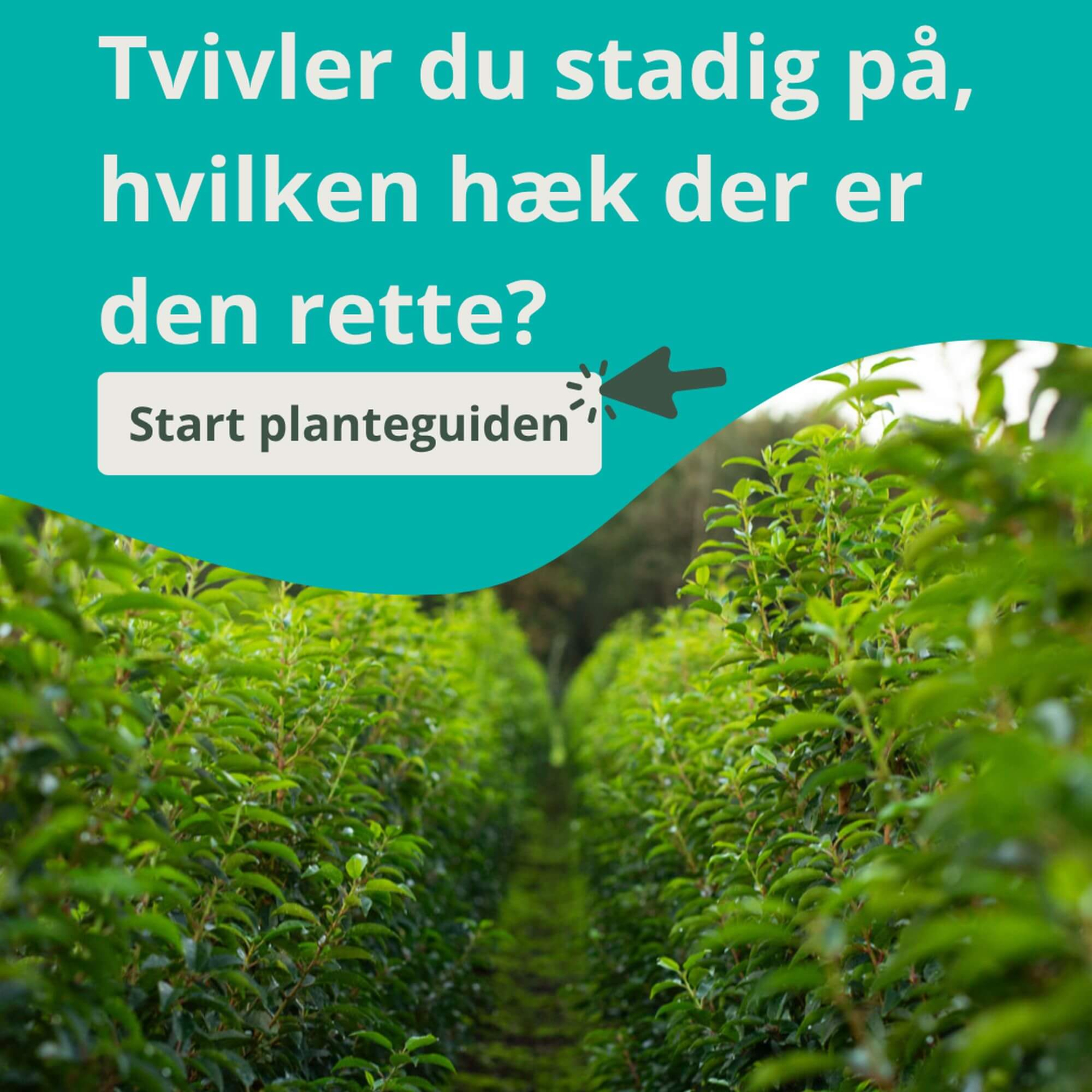 Keuzehulp